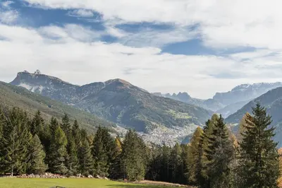 a green field with trees and mountains in the background at Villa Scherlin in Ortisei
