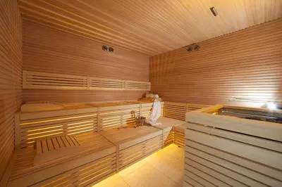 a sauna with wooden walls and benches and a tub at Aparthotel Wellness Villa di Bosco in Tesero