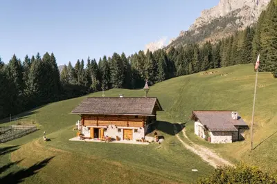 a log cabin on a green hill with trees at Brunet - The Dolomites Resort in Fiera di Primiero