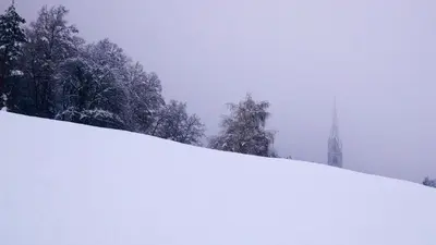 a snow covered hill with trees and a church in the background at Vintlerhof in Bressanone
