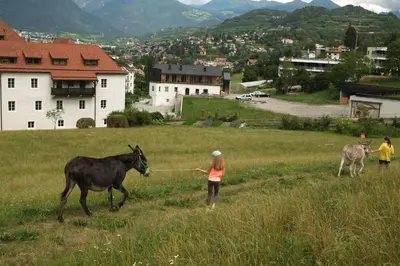 a woman walking a horse in a field at Vintlerhof in Bressanone