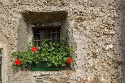 a window with red flowers in a pot on a stone wall at Saxlhof in Stanghe