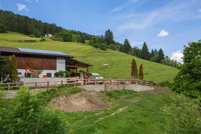 a barn on a hill with cows in a field at Saxlhof in Stanghe