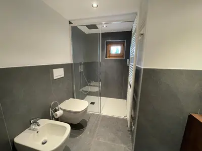 a bathroom with a toilet and a sink and a shower at Chalet Biancaneve - Alpe Cermis Cavalese in Cavalese