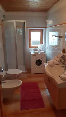 a bathroom with a toilet sink and a washing machine at Agriturismo Feur Hof in San Martino in Badia