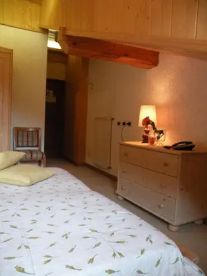 a bedroom with a bed and a lamp on a dresser at Hotel Vajolet in Mazzin