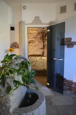 a plant in a stone planter in front of a door at Hotel Corona in Carano