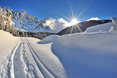 a snow covered road with the sun in the background at Agritur Darial in Tesero