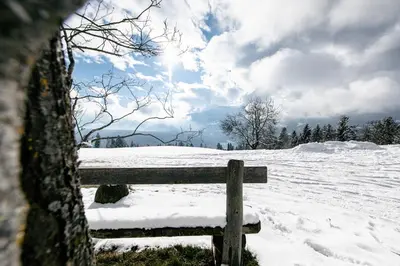a wooden bench covered in snow in a field at Niederhaeusererhof in Falzes