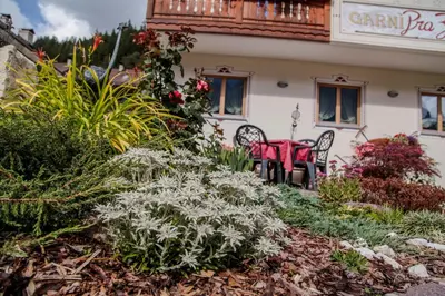 a sign for a grand piano show with flowers at Garnì Prà Fiorì in Campitello di Fassa