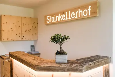 a potted plant sitting on a counter in a room at Steinkellerhof in Vollan