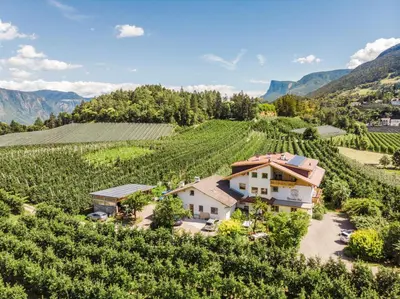 an aerial view of a vineyard with a house in the middle at Steinkellerhof in Vollan