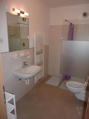 a bathroom with a sink and a toilet at Appartement Windisch in Tirolo