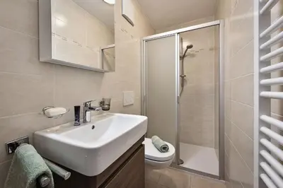 a bathroom with a sink and a toilet and a shower at Apartments Schönblick in Mühlbach