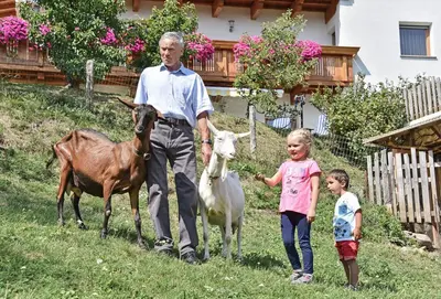 a man and two children standing in a field with goats at Apartments Schönblick in Mühlbach