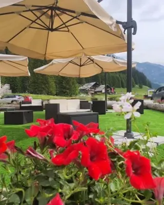 a group of umbrellas and red flowers in a garden at Soggiorno Dolomiti in Mazzin