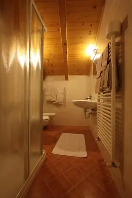 a bathroom with a shower and a sink and a toilet at B.& B. Corradini in Castello di Fiemme