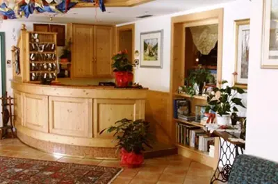 a room with a bar with potted plants in it at Hotel Zanon in Ziano di Fiemme