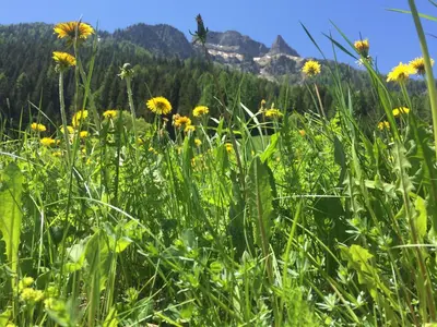 a large rocky mountain with a cloud in the sky at Fedaia Joy B&B in Canazei