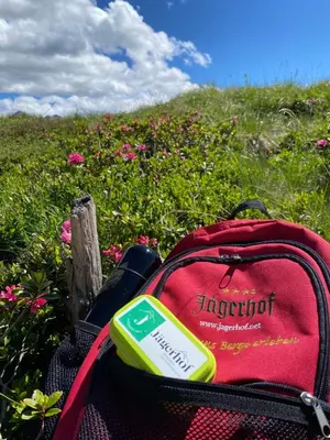 a red backpack sitting next to a field of flowers at Hotel Jägerhof in San Leonardo in Passiria