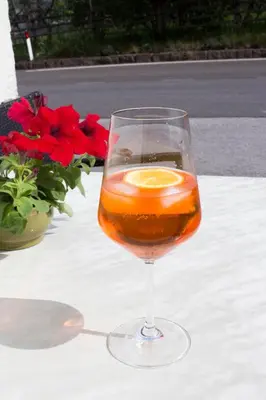a glass of wine on a table with red flowers at Schönblick OHG des Daum Tobias in Aldino