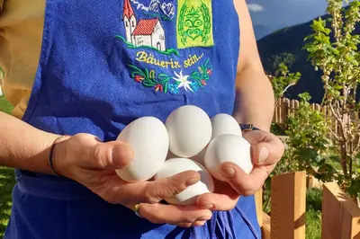 a person holding a bunch of eggs in their hands at Thalhofer Hof in Lazfons