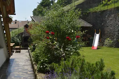 a garden with a bush with red roses at Haus Hofer in Barbiano
