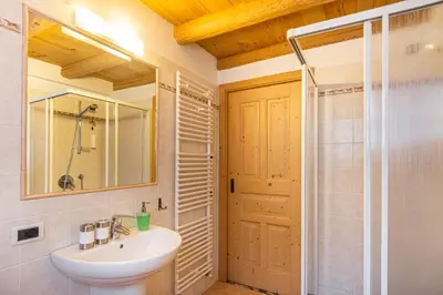 a bathroom with a sink and a shower and a mirror at Agriturismo Maso Santa Libera in Tesero