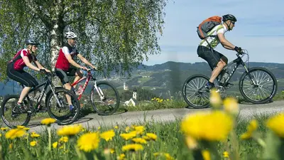 three people riding bikes on a road with flowers at Activehotel Diana in Siusi