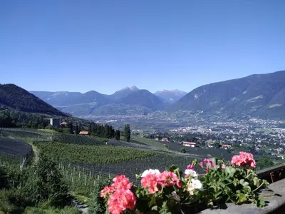 a view of a valley with flowers on a hill at Mühlhaus in Schenna