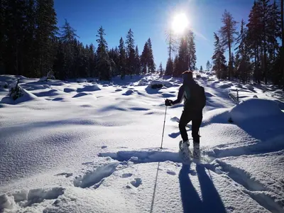 a person is cross country skiing in the snow at Schlossblick in Vols am Schlern