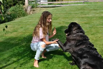 a little girl playing with a dog in the grass at The Vista Hotel in Bressanone