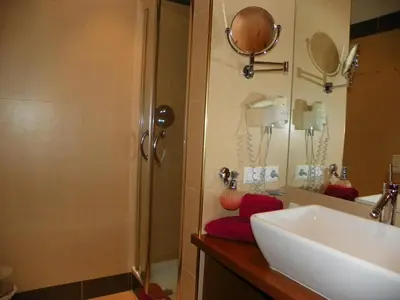 a bathroom with a sink and a shower at Hotel Finkennest - Panoramic Garden Resort in Schenna