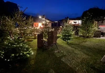 a group of christmas trees in a yard at night at Lochererhof in Appiano sulla Strada del Vino