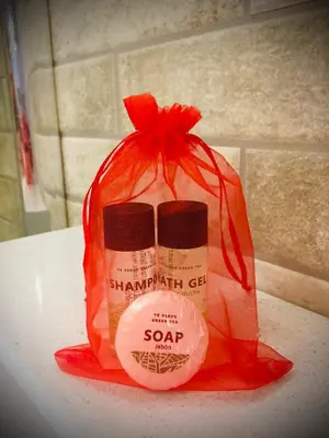 a bag of soap sitting on top of a counter at Casa di Micky in Canale San Bovo