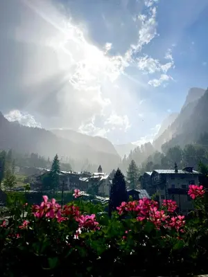 a view of a valley with pink flowers and mountains at Apartments Sol E Nef in Rocca Pietore
