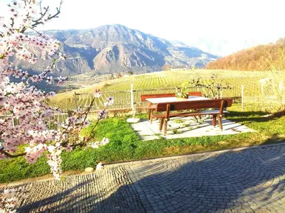 a picnic table with a view of a mountain at Landhaus Weingut in Cornaiano