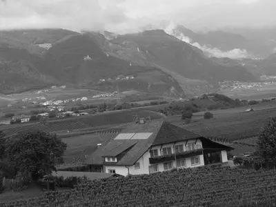 a black and white photo of a house in a vineyard at Landhaus Weingut in Cornaiano