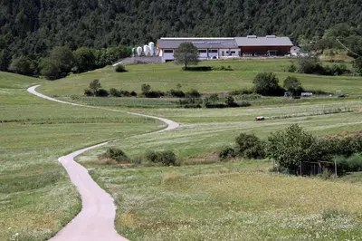 a winding road in a field with a building in the background at Locanda Alpina in Brez