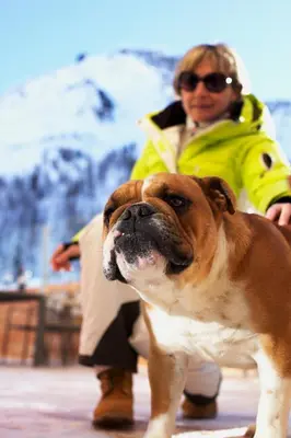 a woman standing next to a brown and white dog at Hotel Costabella in Passo San Pellegrino