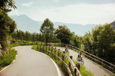 two people riding bikes on a winding road at Ferienwohnungen Wieserhof in Andrian in Andrian