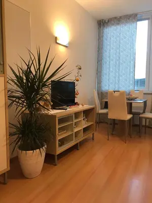 a living room with a tv and a desk with a plant at Living Apartment Central in Merano