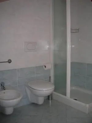 a bathroom with a toilet and a shower and a sink at Affittacamere Villa Belfiore in Ronzone