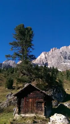 an old cabin with a tree on top of a mountain at Alfred Ties Apartments in San Vigilio Di Marebbe