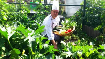 a chef holding a basket of vegetables in a garden at Hotel Andechserhof & Mountain Sky in Laion