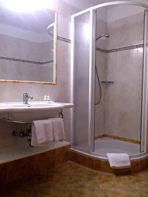 a bathroom with a shower and a sink at Hotel Andechserhof & Mountain Sky in Laion