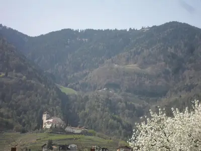 a view of a mountain with a house and trees at Hotel FleurAlp in Cermes