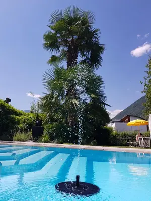 a palm tree and a fountain in a swimming pool at Hotel FleurAlp in Cermes