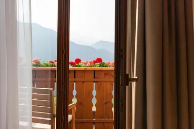 a window with a view of a balcony with flowers at Hotel-Chalet Pennhof in Barbiano
