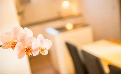 a close up of two pink flowers on a table at Residence Wiesenhof in Vollan